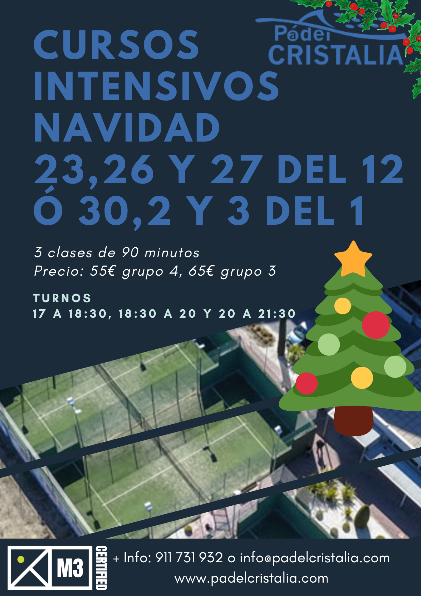 Intensivos Navidades